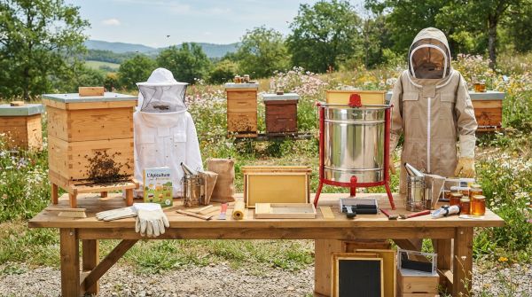 Les meilleurs équipements d'apiculture pour novices et experts